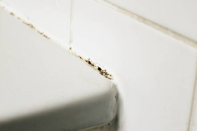Bathroom & Kitchen Sealant Tips: Beat Mould & Leaks